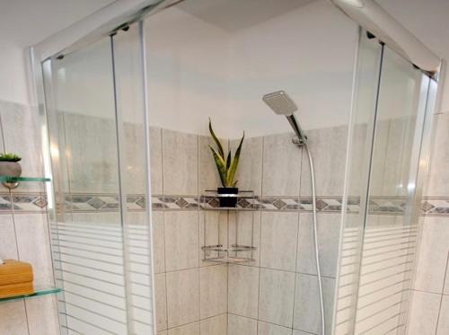 a bathroom with a shower with a plant on a shelf at Villa Jenny Stylianou in Spetses
