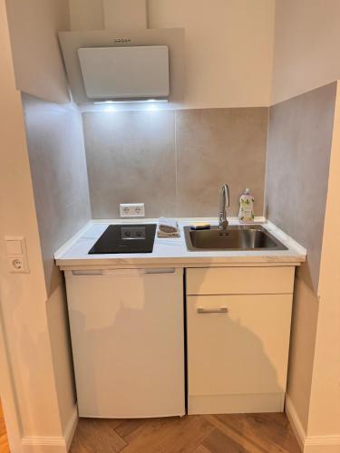 Η κουζίνα ή μικρή κουζίνα στο Cozy Apartment Beethoven mit Balkon