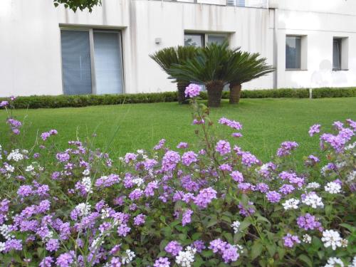 A garden outside Fiore dell'Etna