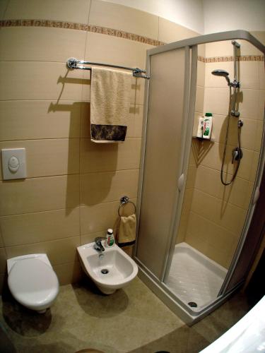 a bathroom with a shower and a toilet and a sink at Villa Maria in Conversano