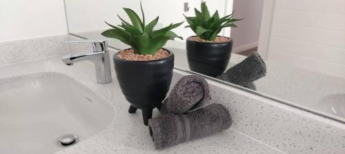 three potted plants sitting on a counter in a bathroom at Seabreeze Golf Retreat in St Francis Bay