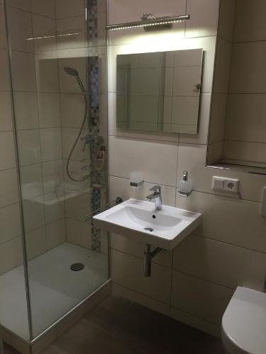 a bathroom with a sink and a shower with a mirror at Messeapartment Hahnenkamp in Hemmingen