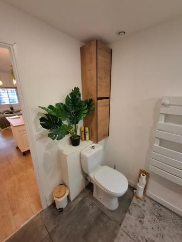 La Casita - Gare St-Roch - Clim, WIFI, TV