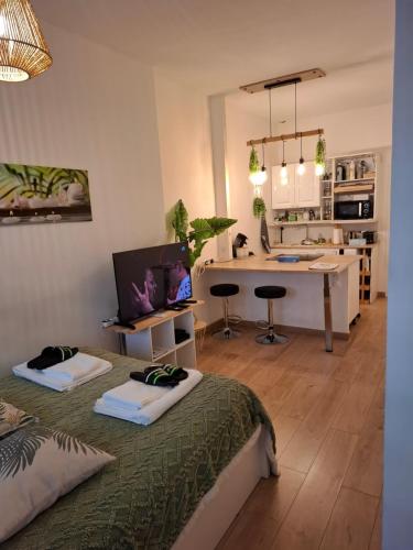 La Casita - Gare St-Roch - Clim, WIFI, TV