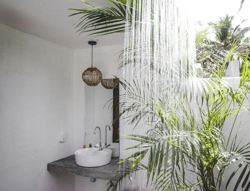a bathroom with a sink and a plant at 7BD Surf House in Ahangama