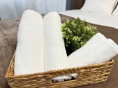 Фотография из галереи Shinjuku Area 302 Shinjuku Apartment в Токио