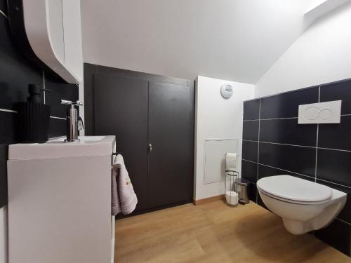 a bathroom with a white toilet and a black wall at Gite Mirabelle in Moyenmoutier