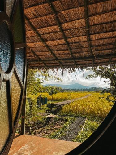 a view of a field from a glass window at Yidan Farmstay in Chiang Dao in Ban Mae Khon