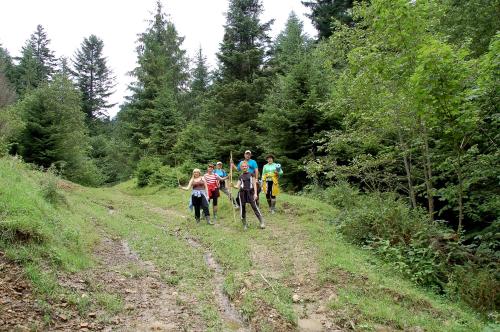 a group of people riding horses on a dirt road at Шалє Ясна садиба in Yasenitsa Zamkova
