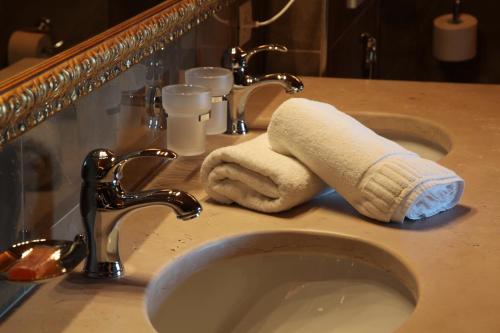 a towel sitting on top of a bathroom sink at Hotel Alle Ciaspole in Fondo