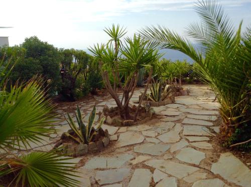 a garden with palm trees and a stone path at Villa Aqua Marina in Vourkarion