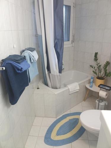 Koupelna v ubytování Garten-Wohnung