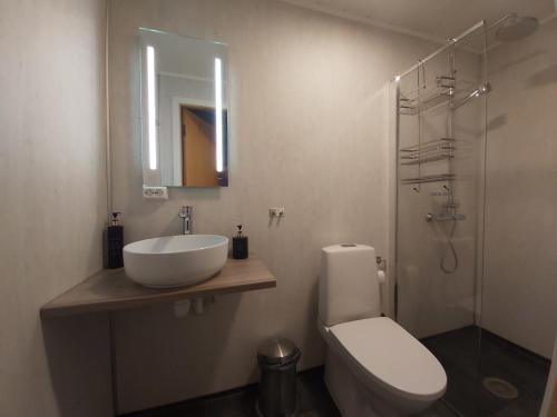 un bagno con lavandino, WC e specchio di Varangertunet arctic resort a Jakobselv