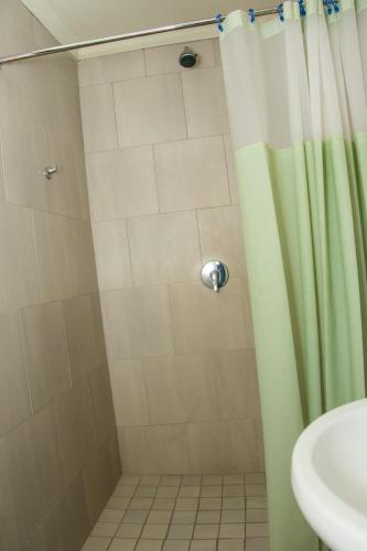 a shower with a green shower curtain next to a sink at Sitir guest villa 20 Johan Meyer St, Linmeyer, Johannesburg in Johannesburg