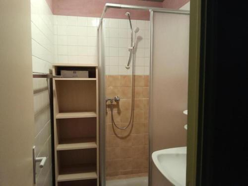 a bathroom with a shower and a sink at Le chardon à blajoux in Montbrun