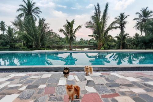 Ninh Binh Peaceful Retreat