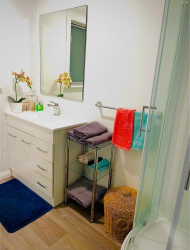 a bathroom with a sink and a mirror at Giggly Nest in New Plymouth
