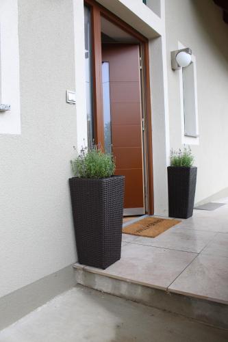 two potted plants sitting on the side of a door at Weingartenhaus in Leutschach
