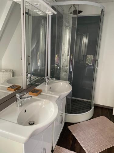 a bathroom with a white sink and a shower at L'armorique in Saint Die