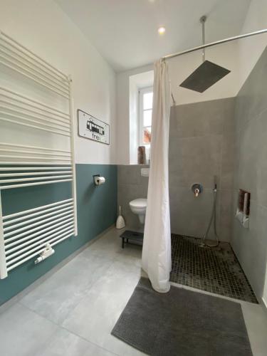 VaaleにあるBahnhof Vaale • Fliegender Hamburgerのバスルーム(シャワー、洗面台、トイレ付)