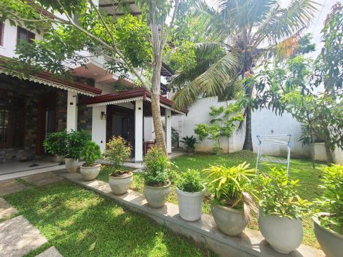 a row of potted plants in front of a house at AfterFly in Ahangama