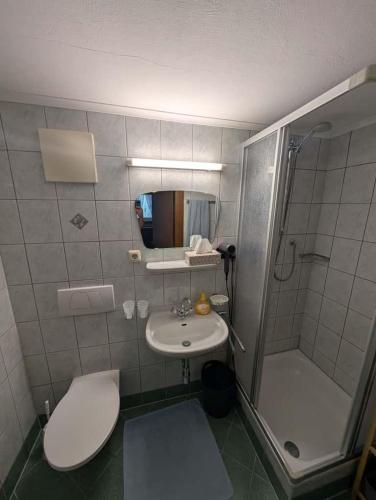 a bathroom with a toilet and a sink and a shower at Lipperhof in Schwendau