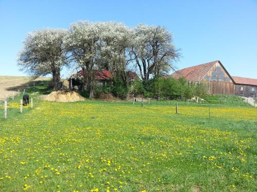 Zahrada ubytování A-Sissy-Hof Billigangebot