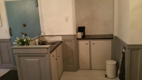 uma pequena cozinha com um lavatório e um balcão em De olde banck em Stavoren