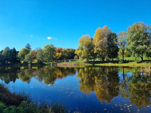 a lake with trees reflecting in the water at Appartement Dans un village en Auvergne sancy in Égliseneuve-dʼEntraigues