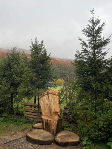 Phong cảnh thiên nhiên gần nhà nghỉ dưỡng