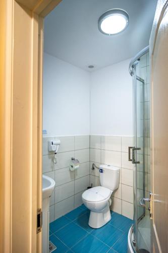 a bathroom with a toilet and a glass shower at Pensiunea Popas Pop, Strambu-Baiut, Maramures in Băiuţ