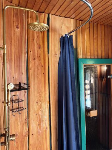 a shower in a room with a blue curtain at FoRResT in Chynadiyovo