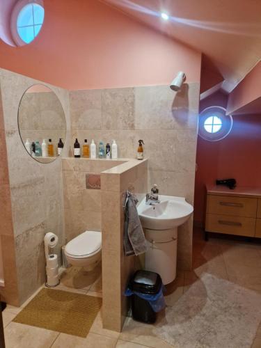 a bathroom with a toilet and a sink and a mirror at Noclegi Opole-Chmielowice Apartament C in Opole