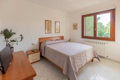 a bedroom with a bed and a tv and a window at Appartamento ElbaBlu by ElbaSummer Tour Operator in Lacona