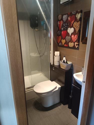 a bathroom with a shower and a toilet and a sink at Open space studio in Shawlands in Glasgow