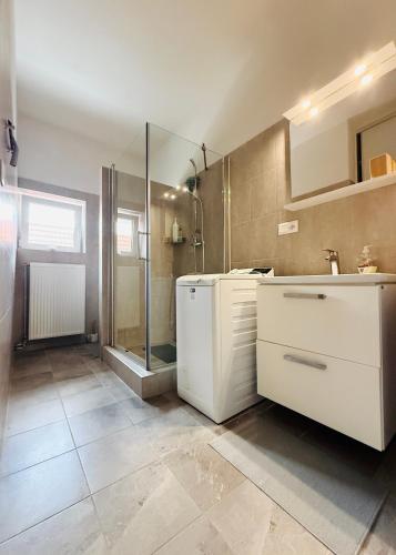 a bathroom with a sink and a shower at Srdce Mesta 1 - zážitkový apartmán Na Pešej Zóne s balkónom a terasou in Gerlachov