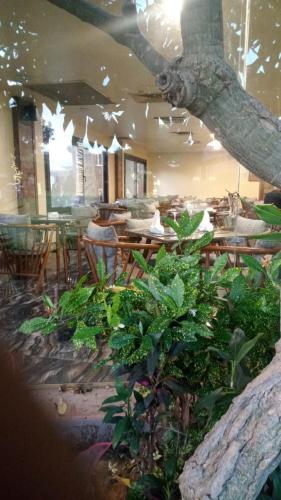 Un restaurante u otro lugar para comer en Africana Hotel & Spa