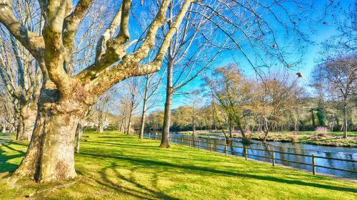 Φυσικό τοπίο κοντά σε αυτό το διαμέρισμα