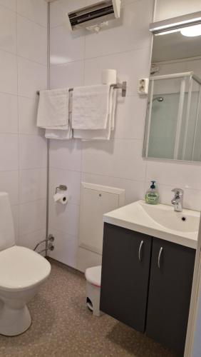 a bathroom with a toilet and a sink and a mirror at Jakobselvkaia in Vadsø