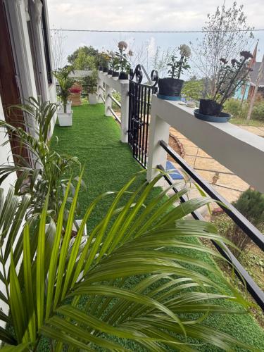 een wit hek met planten aan de zijkant van een huis bij Sleeping Buddha Homestay - Lamahatta in Darjeeling