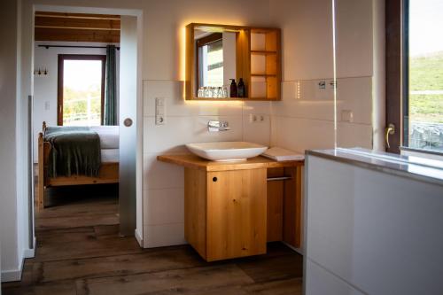 a bathroom with a sink and a mirror at Chalet Landsitz in Dippoldiswalde