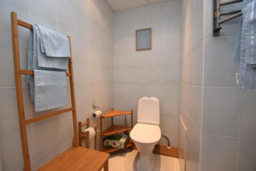 a bathroom with a toilet and a towel rack at Bright Home in Tallinn