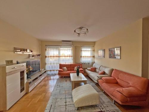 Comfy and Spacious Apartment in a Quiet City Area