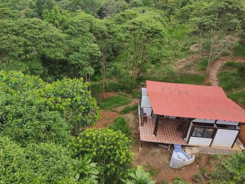 Příroda nedaleko venkovského domu