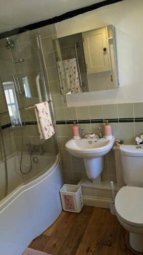 a bathroom with a sink and a tub and a toilet at 8 Pudding Bag Lane in Exton