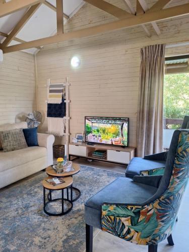 Una sala de estar con un sofá y un televisor. en Cinnamon & Sage Country Cabins, en Dullstroom