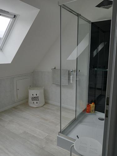 a bathroom with a glass shower in a room at La Maison LUDO in Arrest