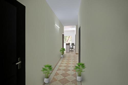 a hallway with potted plants on the floor at Hotel O B.S Residency in Gurgaon