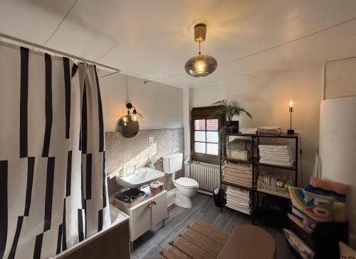 a bathroom with a white toilet and a sink at Domaine à la Loëx in Geneva