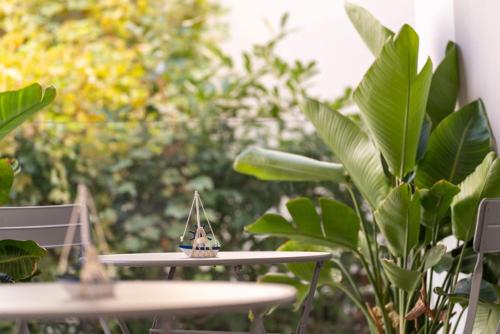 Zahrada ubytování The Sea Hotel